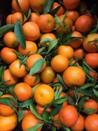 mandarinai-šviežūs-